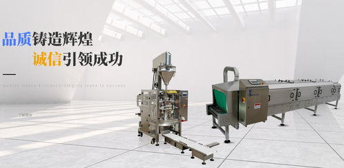 品質(zhì)鑄造輝煌，誠信引領(lǐng)成功——達(dá)和榮藝包裝機(jī)械的卓越之路